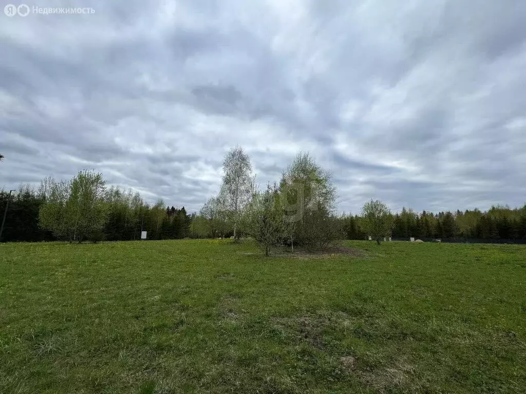 Участок в Московская область, Дмитровский муниципальный округ, ... - Фото 1
