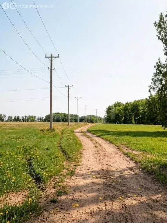 Участок в село Ребровка, Южная улица (10 м) - Фото 2