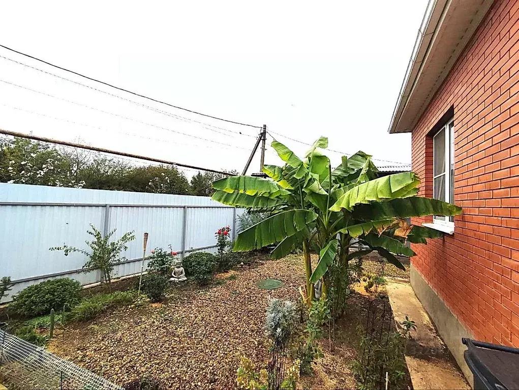 Дом в Краснодарский край, Красноармейский район, Новомышастовское ... - Фото 2