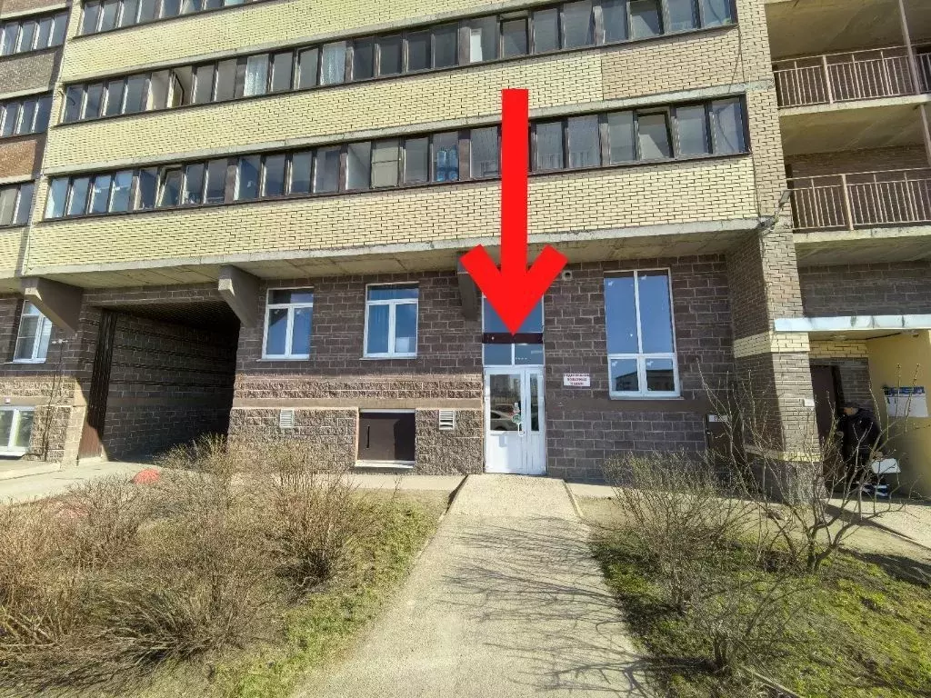 Торговая площадь в Ленинградская область, Мурино Всеволожский район, ... - Фото 1