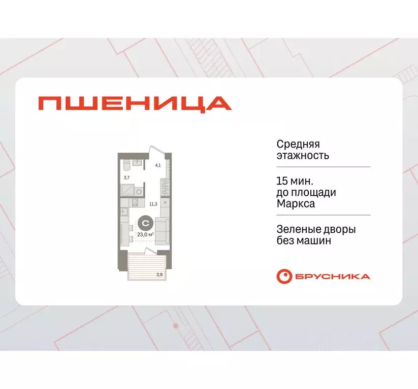 Студия Новосибирская область, Новосибирский район, Краснообск рп ... - Фото 0