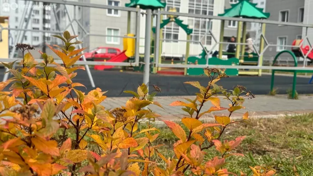 Квартира-студия: Набережные Челны, проспект Раиса Беляева, 42В (22 м) - Фото 2