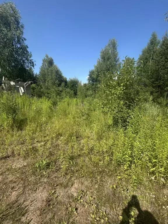 Участок в Нижегородская область, Бор Автомобилист СНТ, 120 (5.0 сот.) - Фото 1
