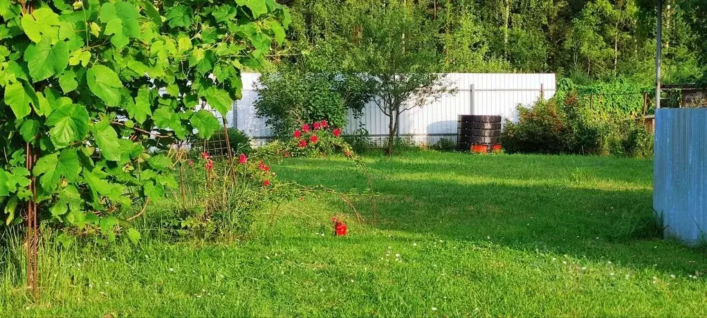 Дом в Тверская область, Конаковский муниципальный округ, Майский СНТ ... - Фото 1
