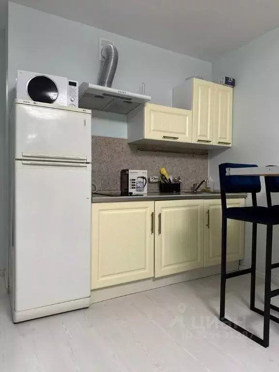 Студия Санкт-Петербург пос. Парголово, ул. Михаила Дудина, 10 (30.0 м) - Фото 0