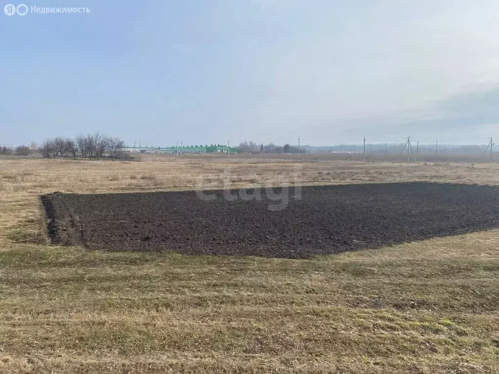 Участок в Белгородский район, Хохловское сельское поселение, село ... - Фото 1