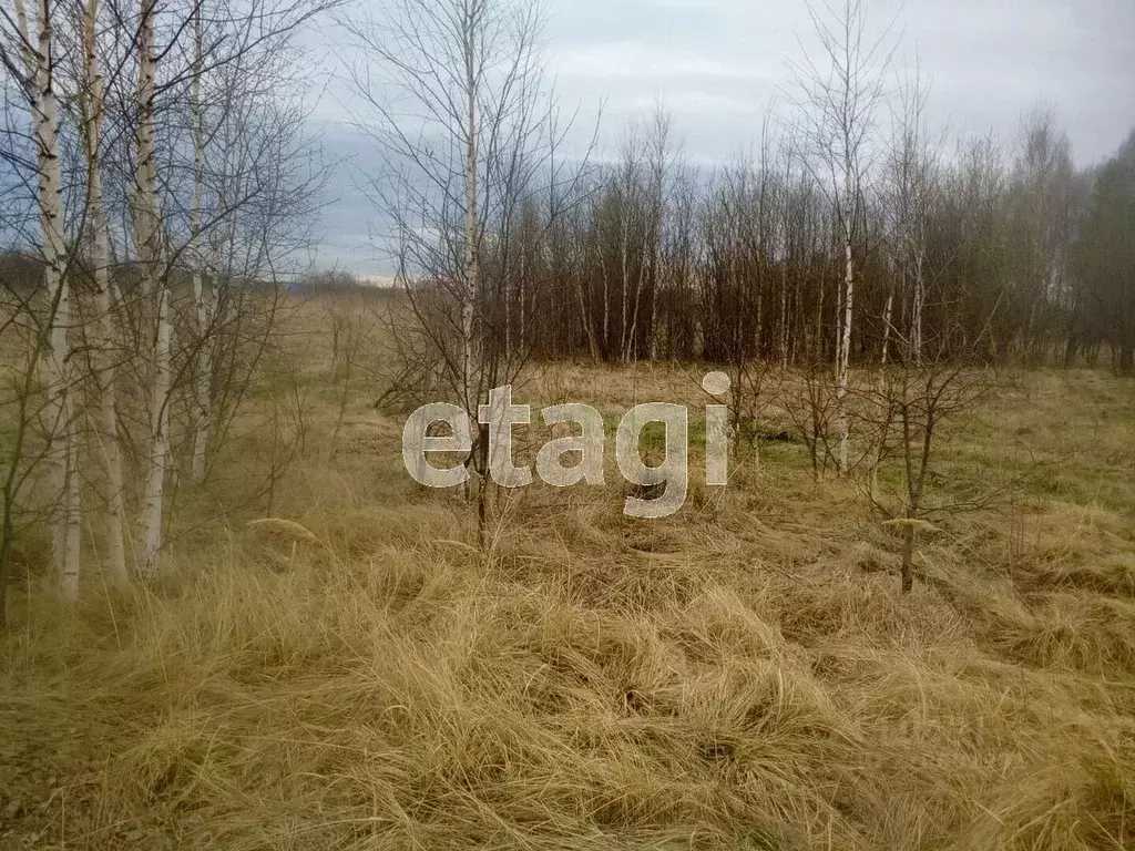 Участок в Свердловская область, Нижний Тагил Ольховский садовое ... - Фото 1