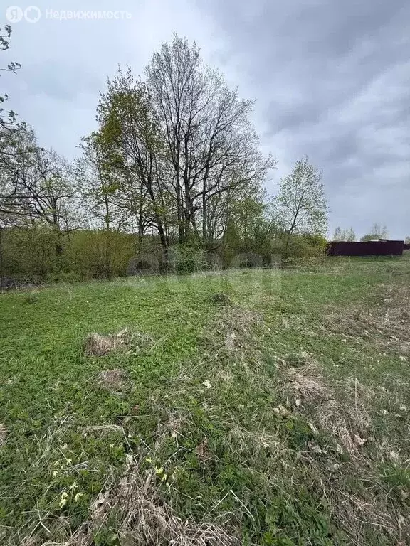 Участок в Тульская область, городской округ Тула, деревня Верхняя ... - Фото 1