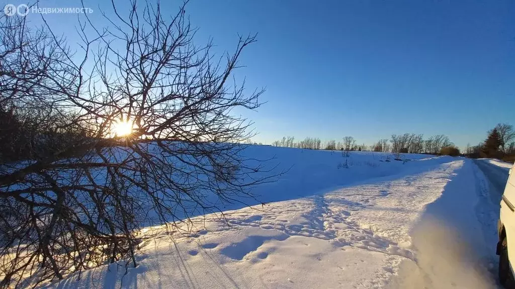 Участок в Плодовское сельское поселение, посёлок при железнодорожной ... - Фото 0