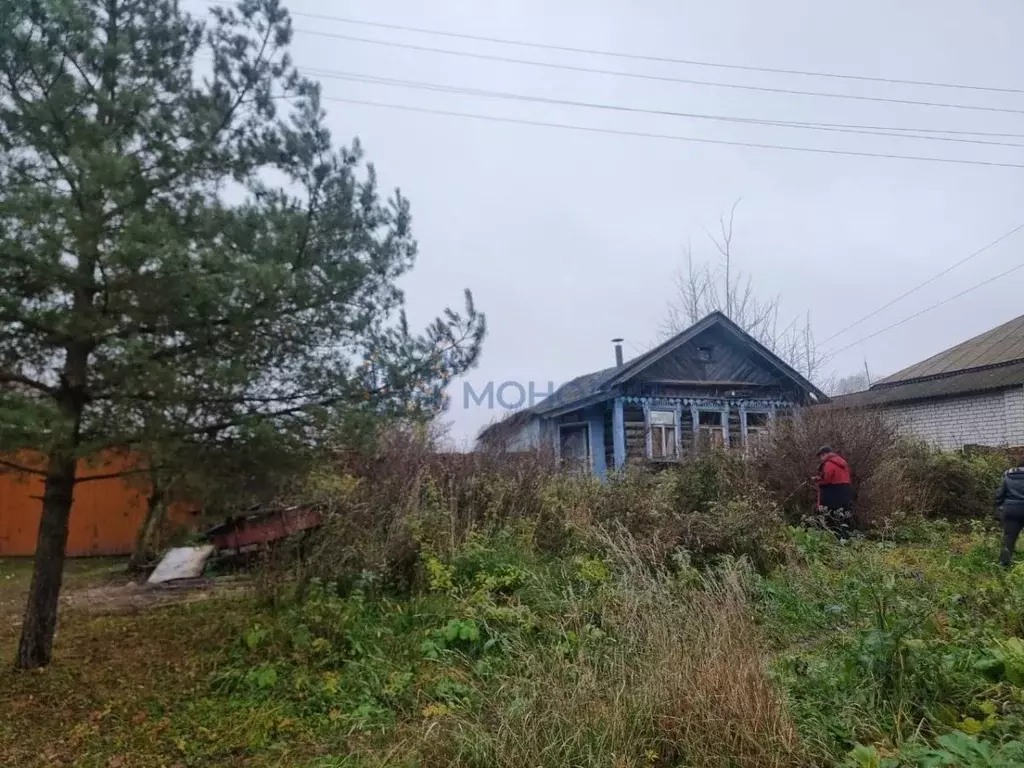 Участок в Нижегородская область, Лысковский район, с. Чернуха ... - Фото 1