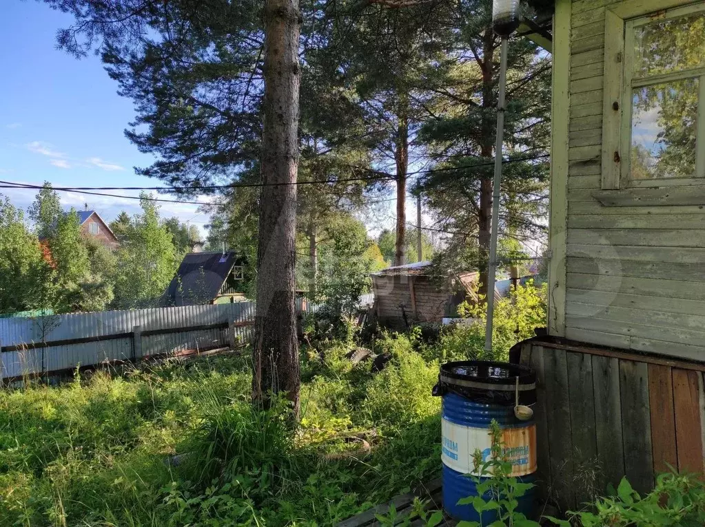 Г Оренбург Купить Дачу В Снт Родник