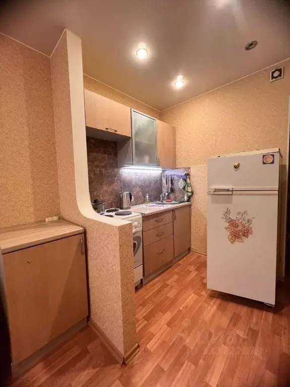 Студия Ленинградская область, Никольское Тосненский район, ... - Фото 2