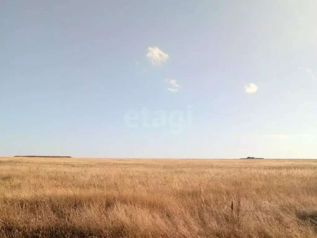 Участок в Крым, Ленинский район, Семисотское с/пос, с. Фронтовое ул. ... - Фото 1