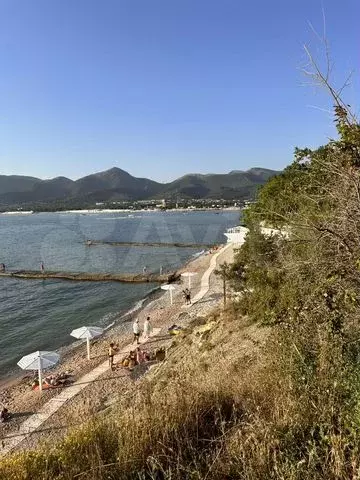 Участок 32 сот. (СНТ, ДНП) - Фото 0