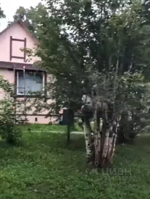 Дом в Камчатский край, Елизовский район, Рябинушка объединения ... - Фото 2