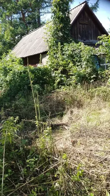 Дом в Алтайский край, Быстроистокский район, с. Акутиха ул. Фрунзе (25 ... - Фото 2