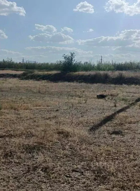 Участок в Курганская область, Кетовский муниципальный округ, с. ... - Фото 1