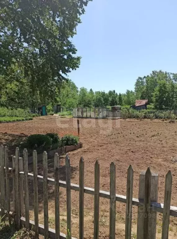 Участок в Камчатский край, Елизовский муниципальный округ, Здоровье ... - Фото 2