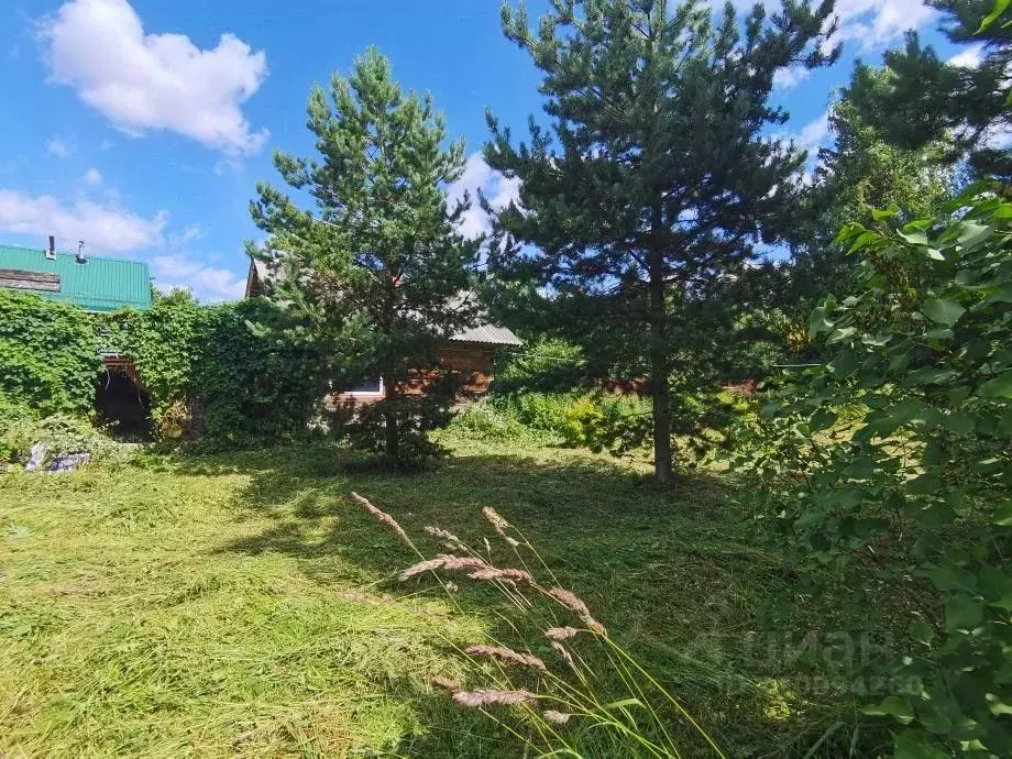 Участок в Пермский край, Березники ул. Циолковского, 21 (11.0 сот.) - Фото 1