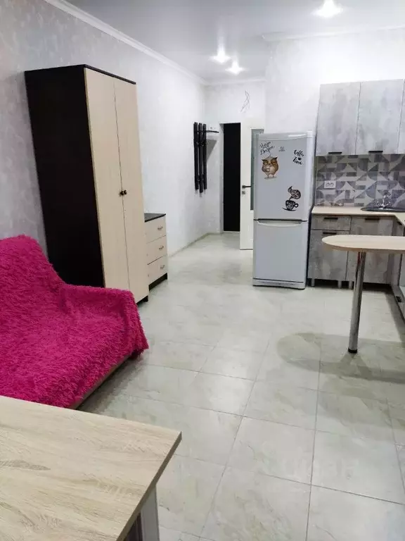 Студия Ростовская область, Ростов-на-Дону Привокзальная ул., 3/1 (28.0 ... - Фото 1