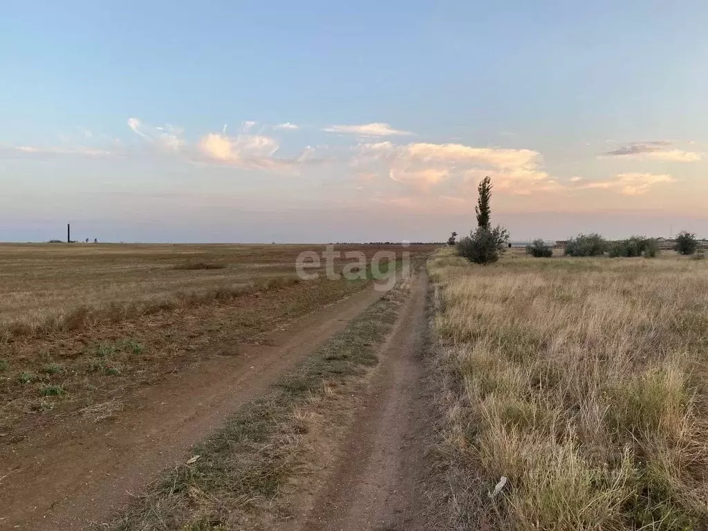 Участок в Крым, Сакский район, с. Орехово  (41.0 сот.) - Фото 0