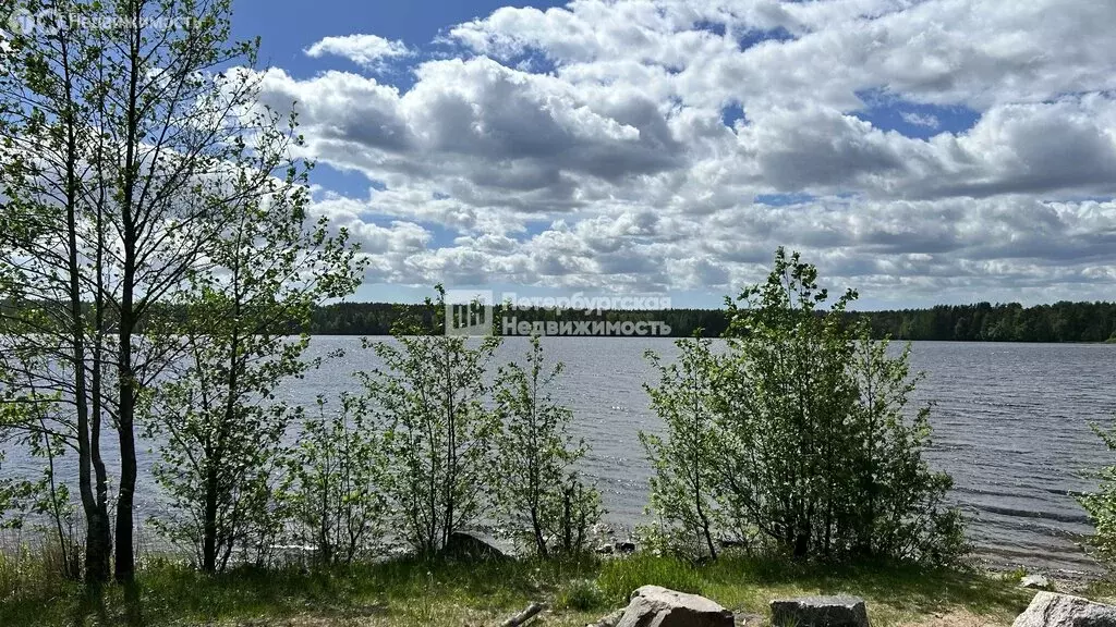 Участок в Выборгский район, Рощинское городское поселение, посёлок ... - Фото 2