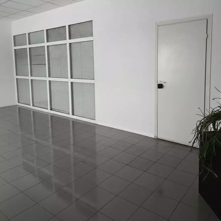 Офис в Московская область, Солнечногорск Красная ул., 161/19 (18 м) - Фото 2