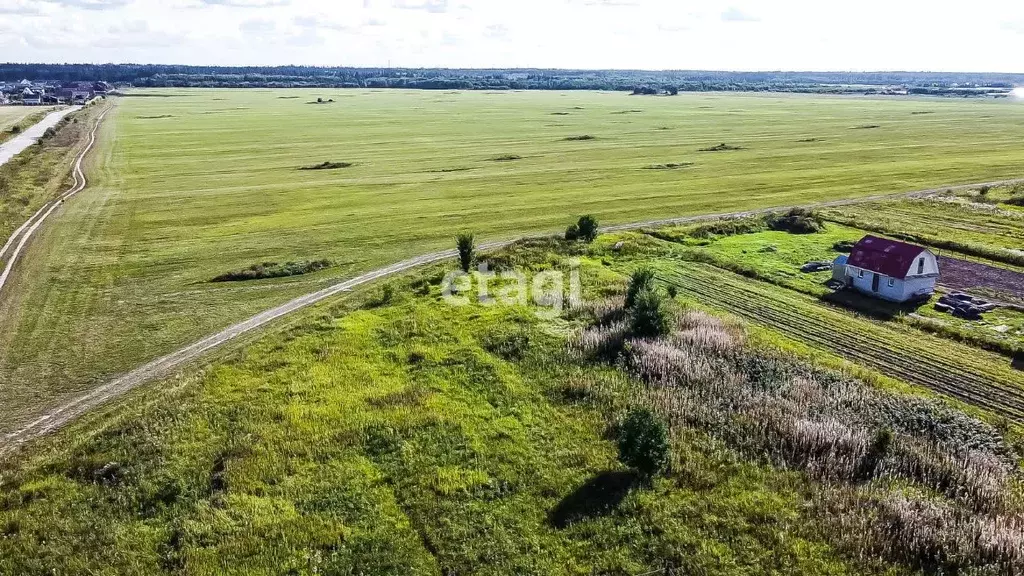 Участок в Ленинградская область, Ломоносовский район, Гостилицкое ... - Фото 1