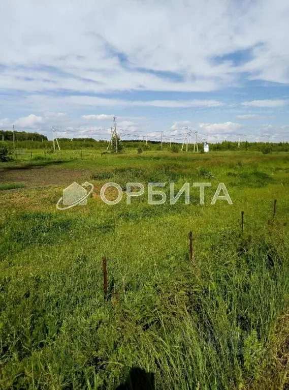 Участок в Тюменская область, Тюмень 4-й Салаирского тракта км (11.89 ... - Фото 1