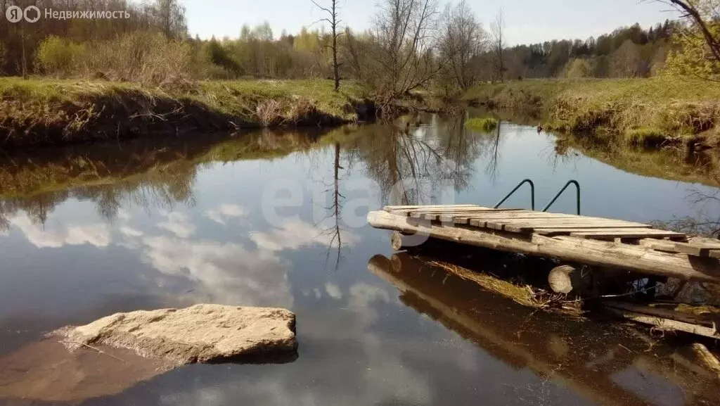 Участок в Судиславский район, Расловское сельское поселение, деревня ... - Фото 1