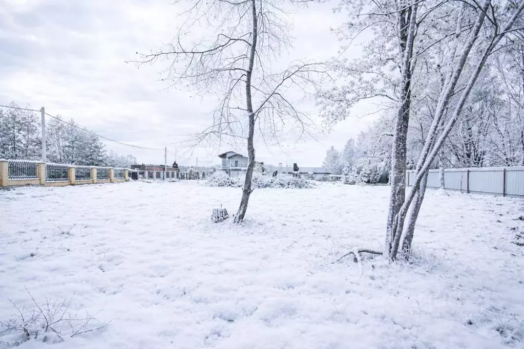 Участок, 12.1 сот., поселения (ижс) - Фото 2