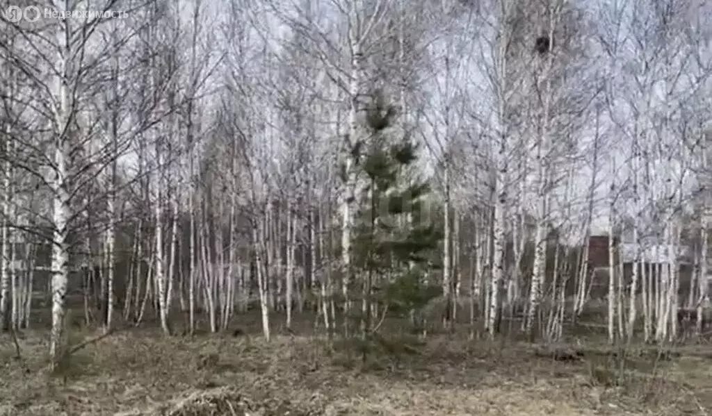 Участок в Новолуговской сельсовет, СНТ Лада-2, 1-я Полевая улица (5 м) - Фото 1