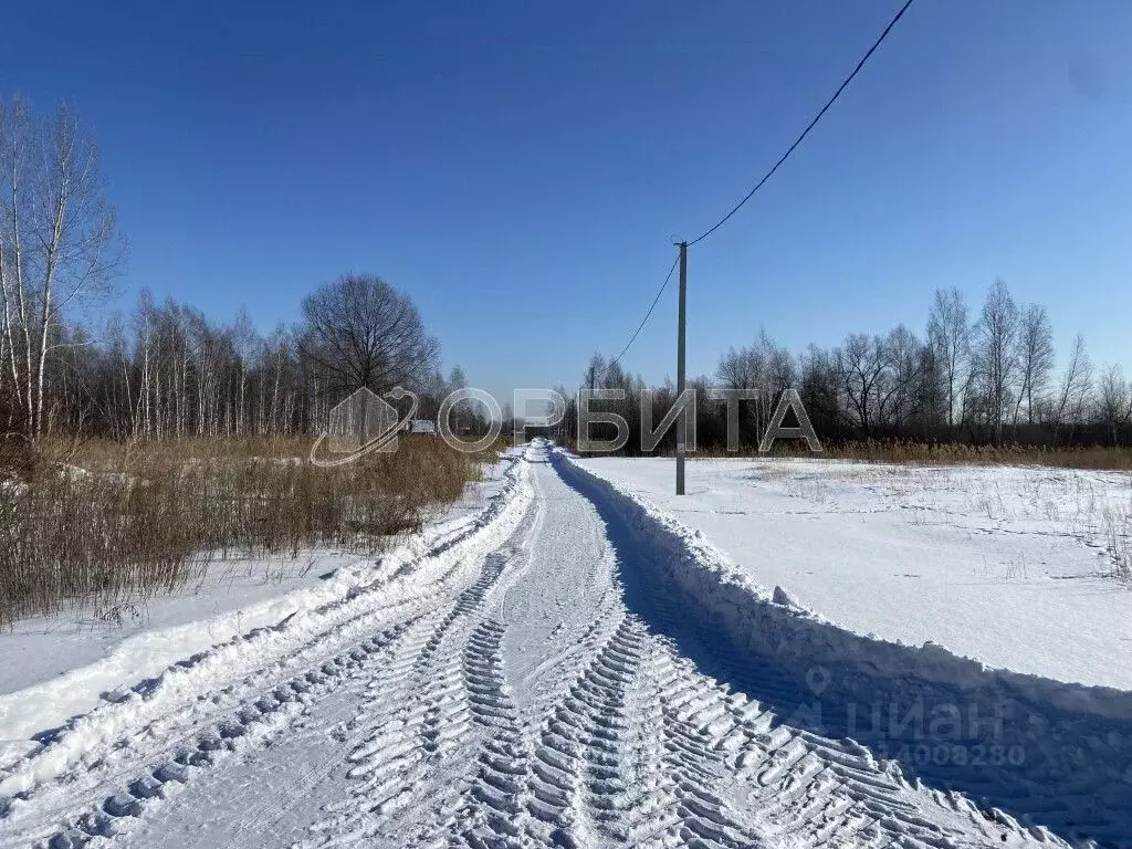 Участок в Тюменская область, Нижнетавдинский район, Лесная сказка СНТ  ... - Фото 0