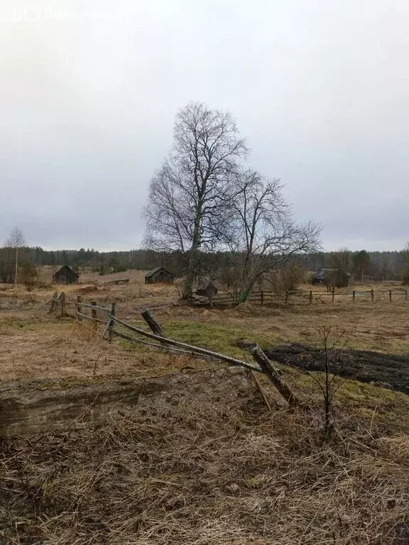 Участок в деревня Коварзино, Русановская улица (24.19 м) - Фото 1