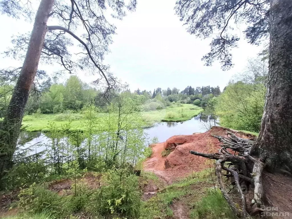 Участок в Ленинградская область, Гатчинский район, д. Большево ... - Фото 1