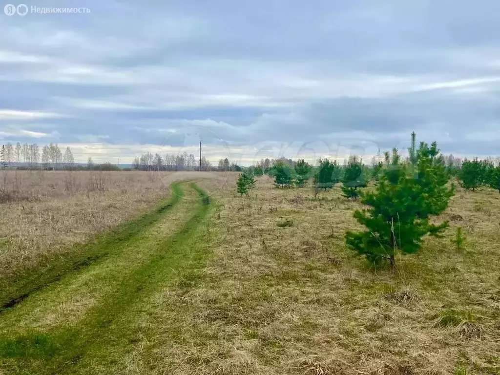 Участок в Тюменский муниципальный округ, село Горьковка (20 м) - Фото 1