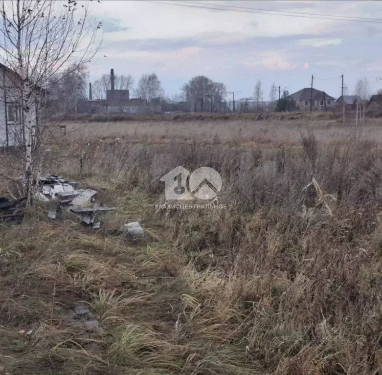 Участок в Новосибирская область, Новосибирский район, Станционный ... - Фото 1