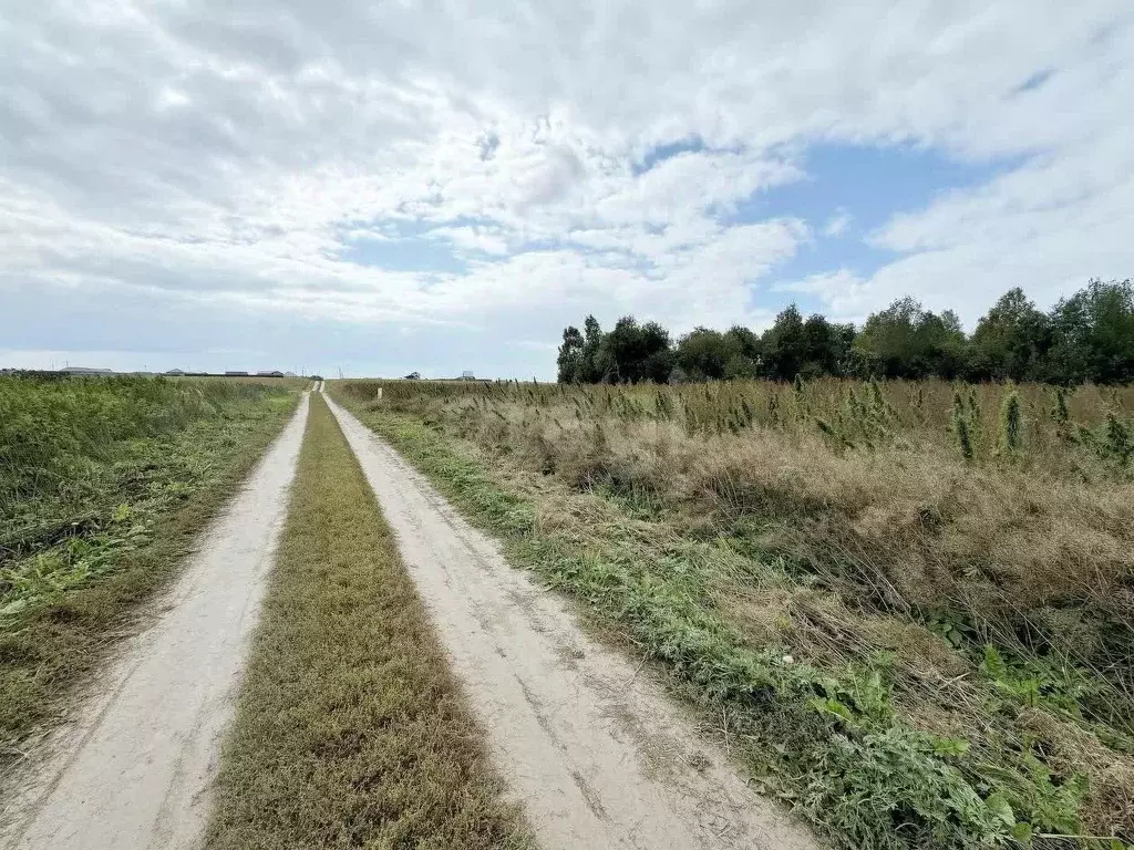 Участок в Тюменская область, Тюменский муниципальный округ, с. Борки  ... - Фото 1