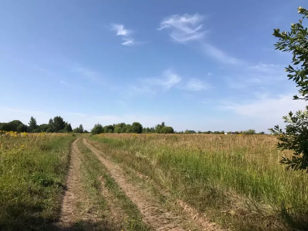 Участок в Тульская область, Заокский район, Демидовское с/пос, д. ... - Фото 1
