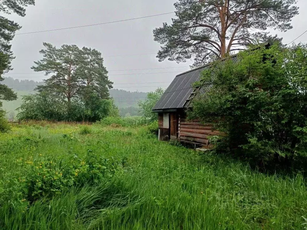 Дом в Иркутская область, Шелехов Байкал СНТ, 270 (20 м) - Фото 2
