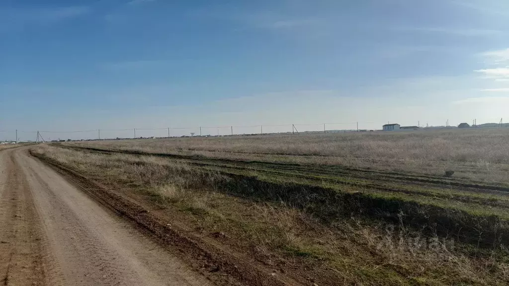 Участок в Крым, Сакский район, Молочненское с/пос, с. Витино уч2 (5.0 ... - Фото 1