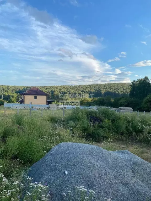 Участок в Челябинская область, Миасский городской округ, с. Черновское ... - Фото 1