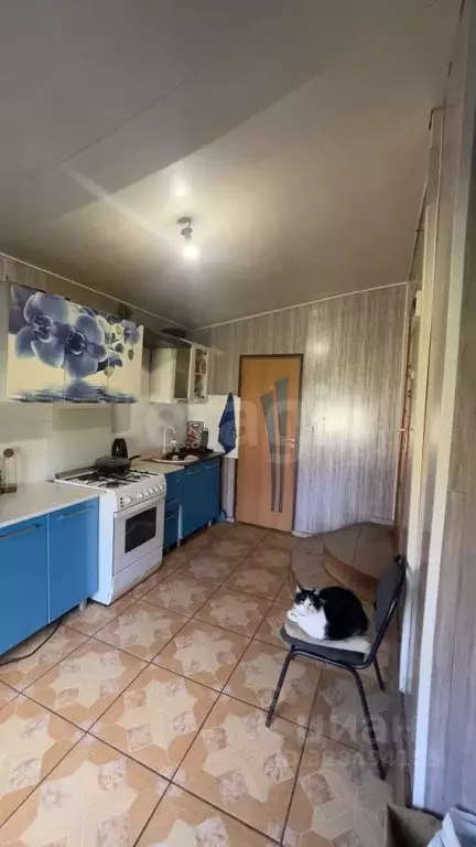 Дом в Калининградская область, Гусевский городской округ, пос. ... - Фото 2