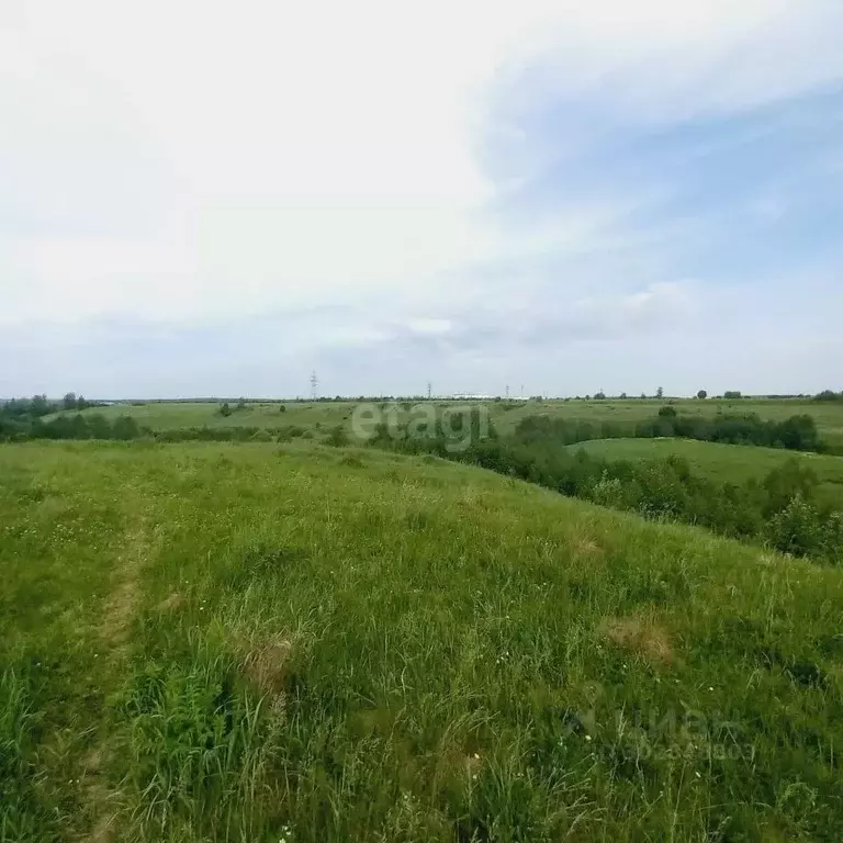 Участок в Калужская область, Калуга городской округ, с. Росва ул. ... - Фото 1