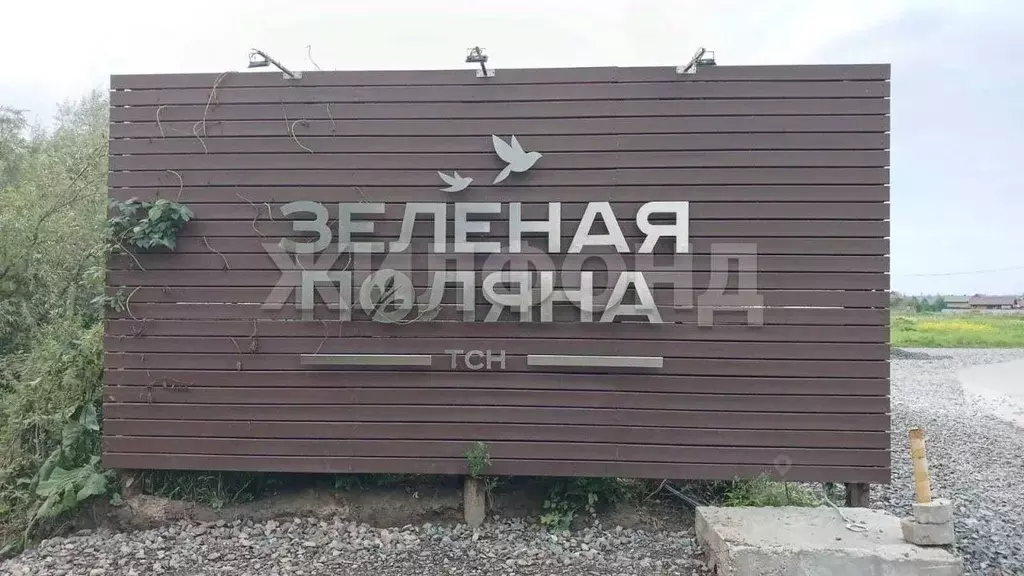 Участок в Новосибирская область, Новосибирский район, Кубовинский ... - Фото 1