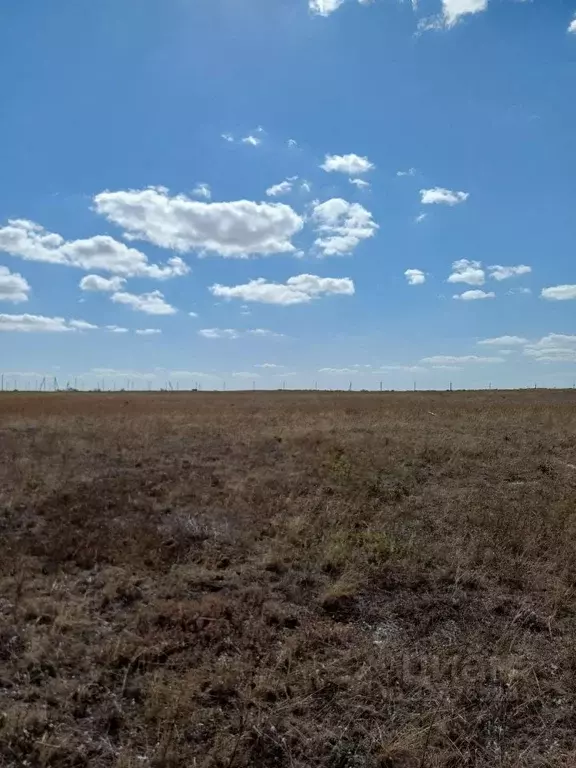 Участок в Крым, Ленинский район, Калиновское с/пос  (6.5 сот.) - Фото 1