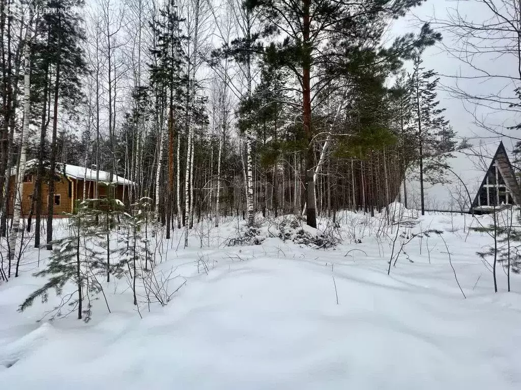 Участок в Кундышское сельское поселение, СНП Лесная Сказка (12 м) - Фото 0