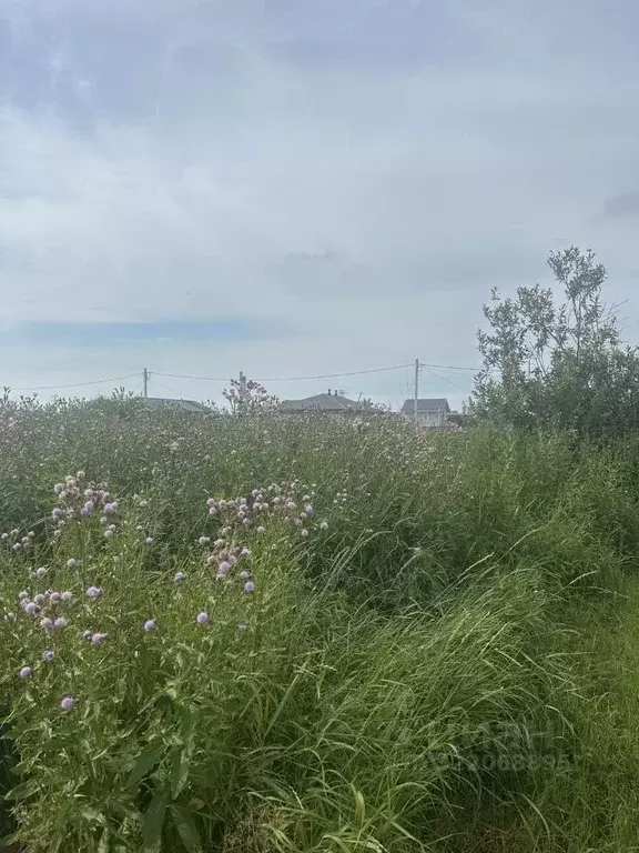 Участок в Архангельская область, Приморский муниципальный округ, ... - Фото 1