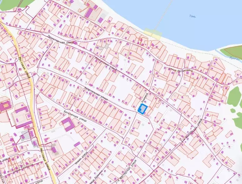 Участок в Кемеровская область, Крапивинский пгт ул. Квартальная, 43 ... - Фото 2