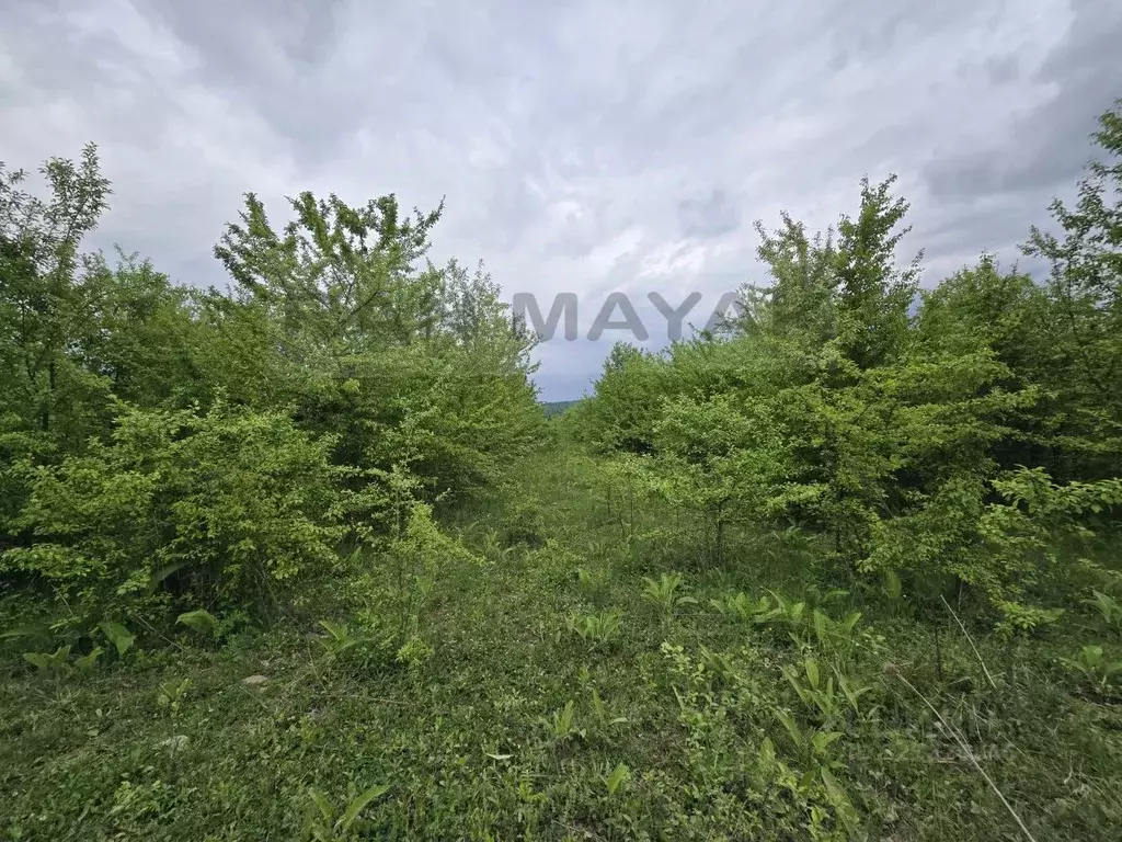Участок в Адыгея, Майкопский район, Даховская ст-ца Советская ул., 20 ... - Фото 2